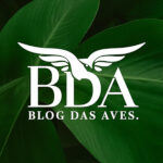 Logo principal do BLOG DAS AVES
